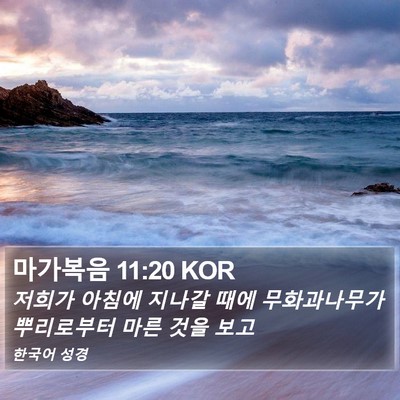 마가복음 11:20 KOR Bible Verse Image