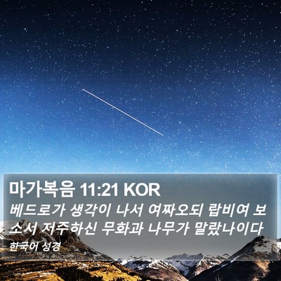 마가복음 11:21 KOR Bible Verse Image