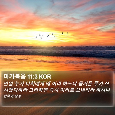 마가복음 11:3 KOR Bible Verse Image