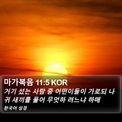 마가복음 11:5 KOR Bible Verse Image