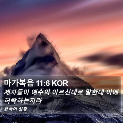마가복음 11:6 KOR Bible Verse Image
