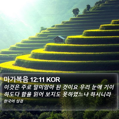 마가복음 12:11 KOR Bible Verse Image