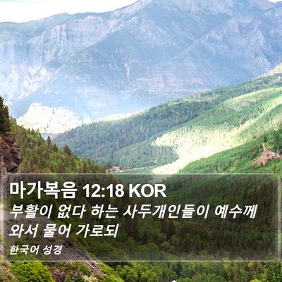 마가복음 12:18 KOR Bible Verse Image