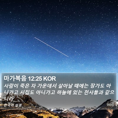 마가복음 12:25 KOR Bible Verse Image