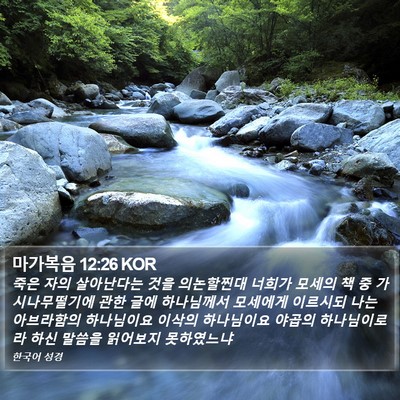 마가복음 12:26 KOR Bible Verse Image