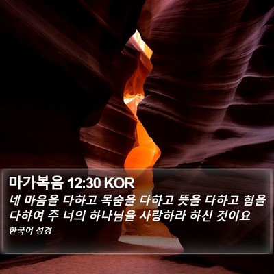 마가복음 12:30 KOR Bible Verse Image