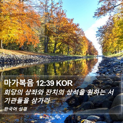 마가복음 12:39 KOR Bible Verse Image