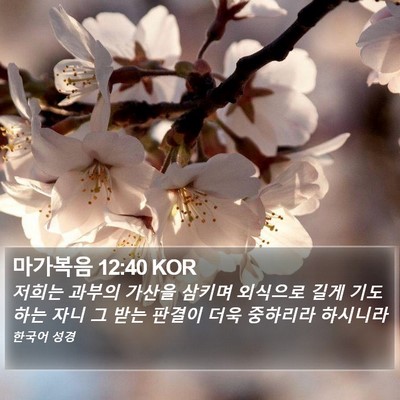 마가복음 12:40 KOR Bible Verse Image