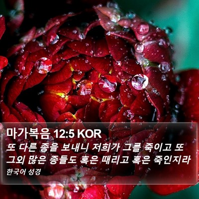 마가복음 12:5 KOR Bible Verse Image