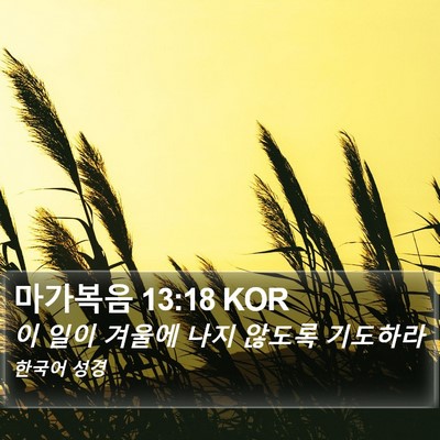 마가복음 13:18 KOR Bible Verse Image