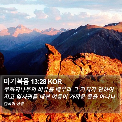 마가복음 13:28 KOR Bible Verse Image