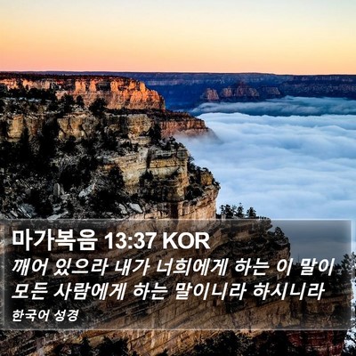 마가복음 13:37 KOR Bible Verse Image
