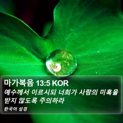 마가복음 13:5 KOR Bible Verse Image