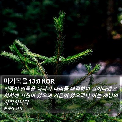 마가복음 13:8 KOR Bible Verse Image