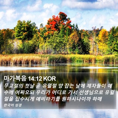 마가복음 14:12 KOR Bible Verse Image