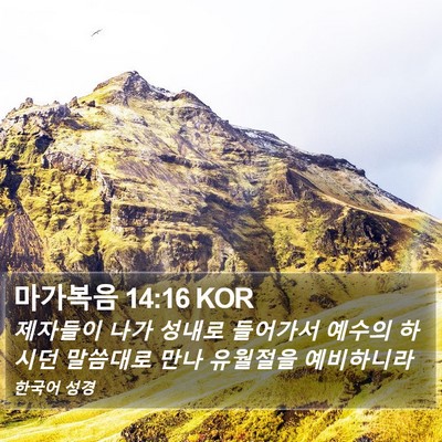 마가복음 14:16 KOR Bible Verse Image