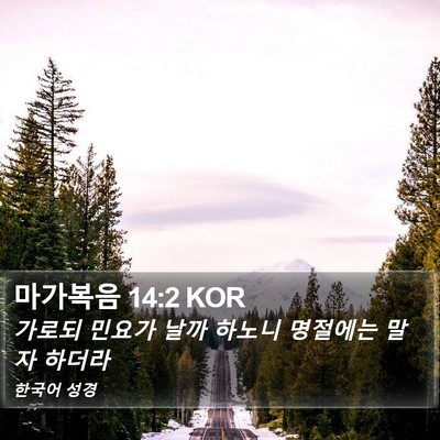 마가복음 14:2 KOR Bible Verse Image