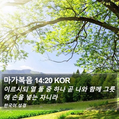 마가복음 14:20 KOR Bible Verse Image
