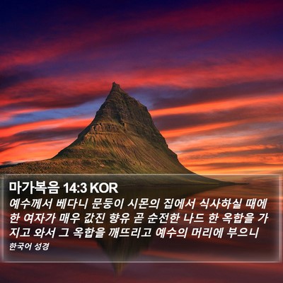 마가복음 14:3 KOR Bible Verse Image