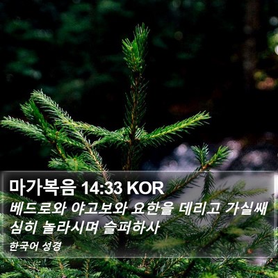 마가복음 14:33 KOR Bible Verse Image