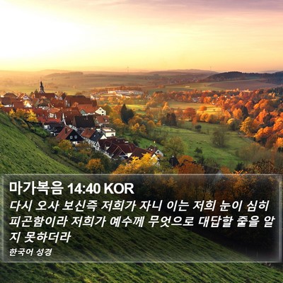 마가복음 14:40 KOR Bible Verse Image