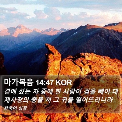마가복음 14:47 KOR Bible Verse Image