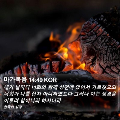 마가복음 14:49 KOR Bible Verse Image