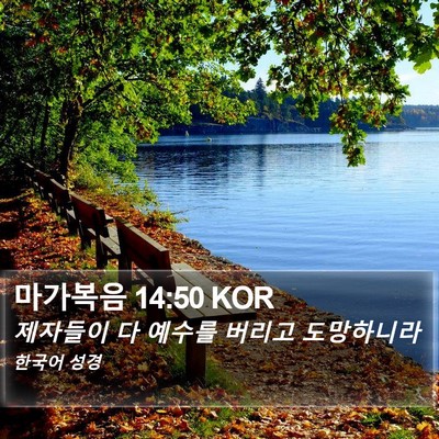 마가복음 14:50 KOR Bible Verse Image