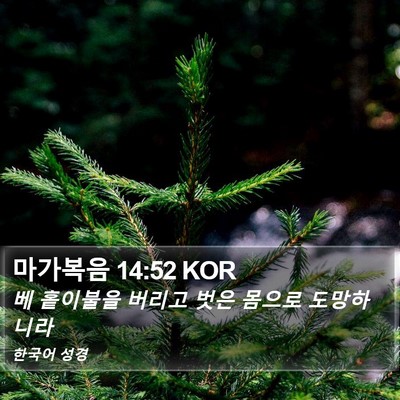 마가복음 14:52 KOR Bible Verse Image
