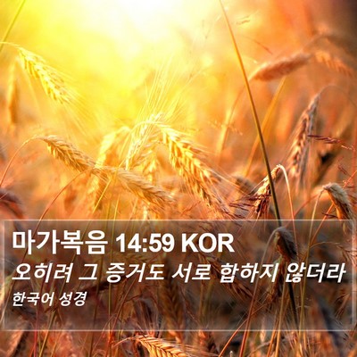 마가복음 14:59 KOR Bible Verse Image