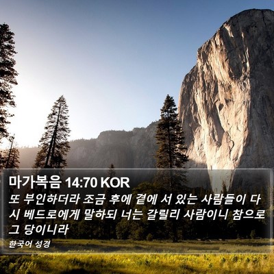 마가복음 14:70 KOR Bible Verse Image