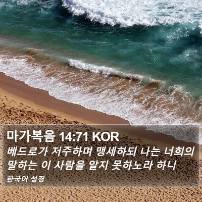 마가복음 14:71 KOR Bible Verse Image