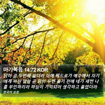 마가복음 14:72 KOR Bible Verse Image