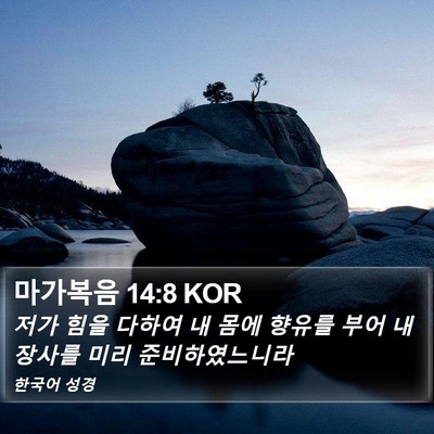 마가복음 14:8 KOR Bible Verse Image