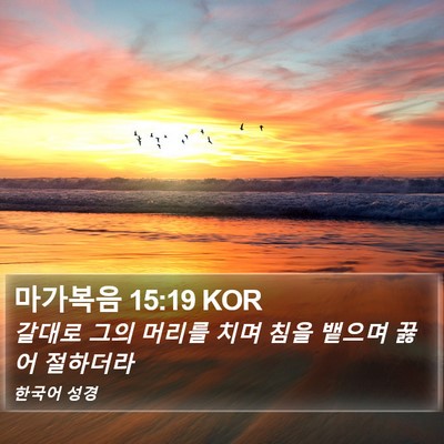 마가복음 15:19 KOR Bible Verse Image