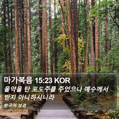 마가복음 15:23 KOR Bible Verse Image