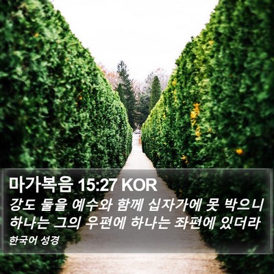 마가복음 15:27 KOR Bible Verse Image