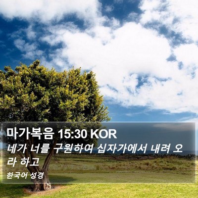 마가복음 15:30 KOR Bible Verse Image
