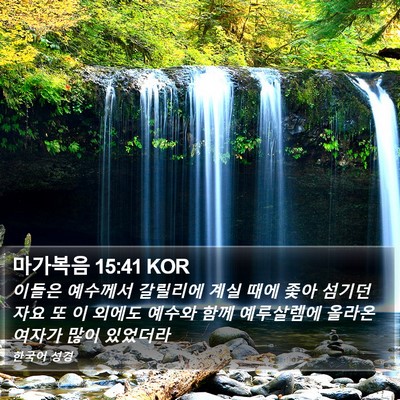 마가복음 15:41 KOR Bible Verse Image