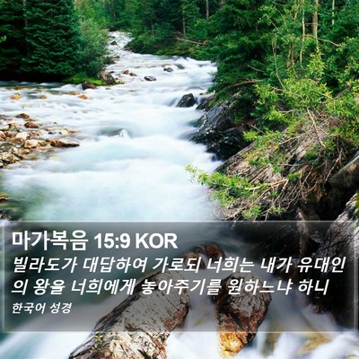 마가복음 15:9 KOR Bible Verse Image
