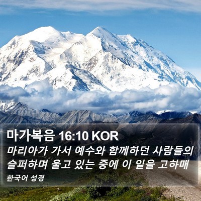 마가복음 16:10 KOR Bible Verse Image