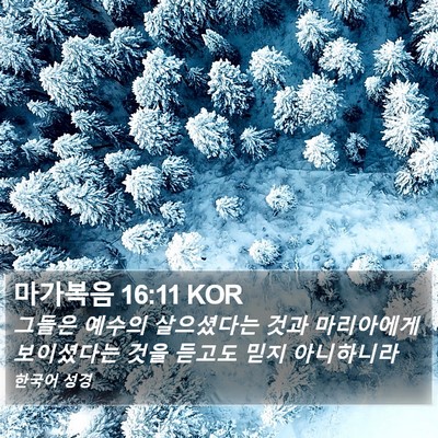 마가복음 16:11 KOR Bible Verse Image