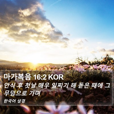 마가복음 16:2 KOR Bible Verse Image