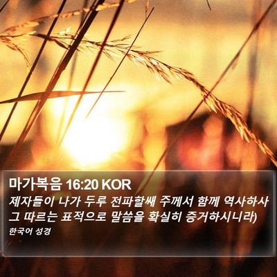 마가복음 16:20 KOR Bible Verse Image