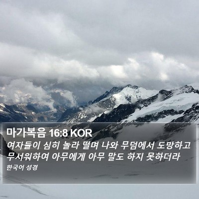 마가복음 16:8 KOR Bible Verse Image
