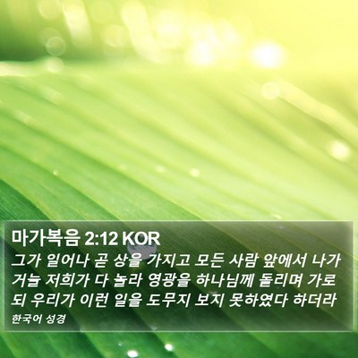 마가복음 2:12 KOR Bible Verse Image