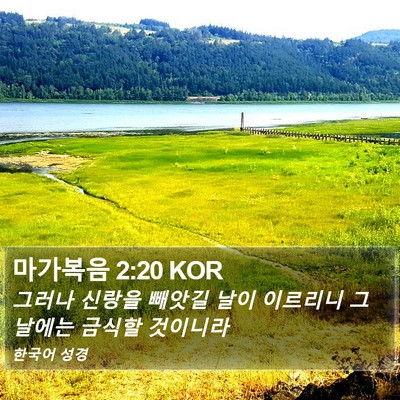 마가복음 2:20 KOR Bible Verse Image