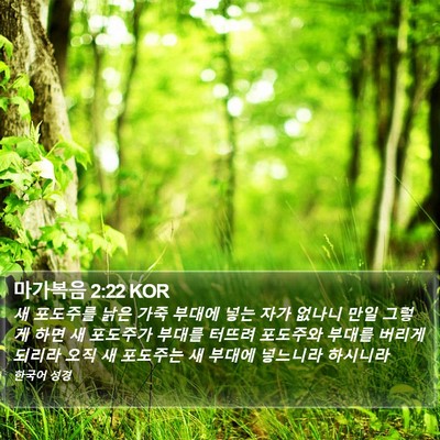 마가복음 2:22 KOR Bible Verse Image