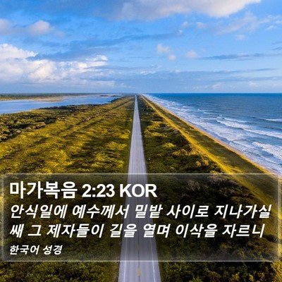마가복음 2:23 KOR Bible Verse Image