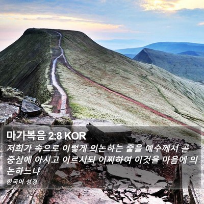 마가복음 2:8 KOR Bible Verse Image